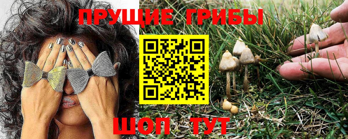 Псилоцибиновые грибы мухоморы Ишимбай