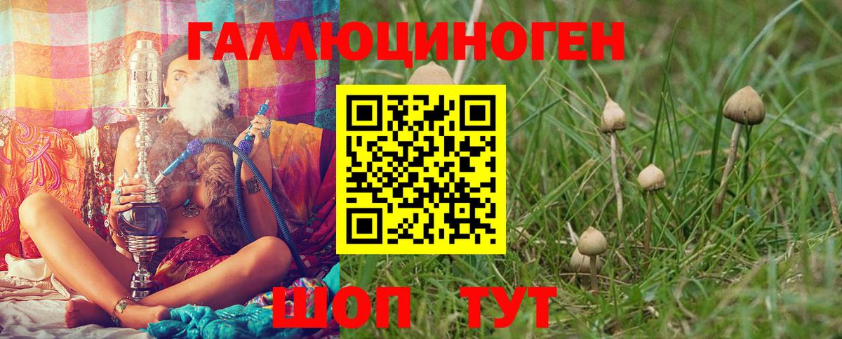 Псилоцибиновые грибы Magic Shrooms  Вход с VPN  Ишимбай 